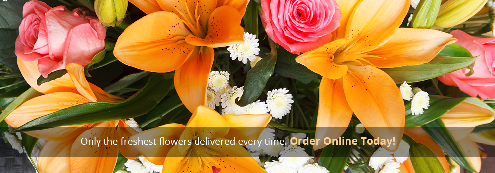 Eros Flowers in Birmingham - Order Online or Call 01217 835750